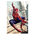 Spiderman Affisch