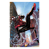 Spiderman Poster 50x70